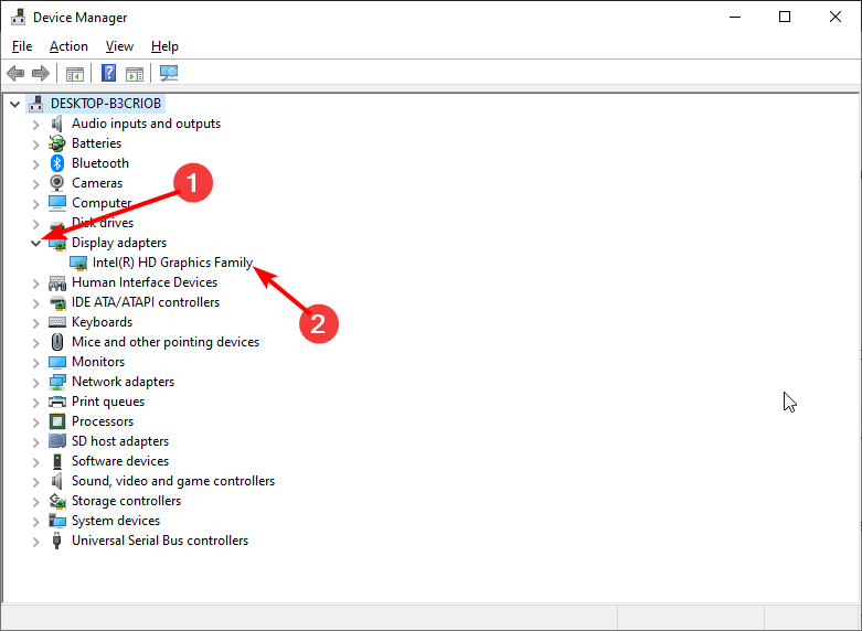 Развернутый раздел 'Видеоадаптеры' в Диспетчере устройств