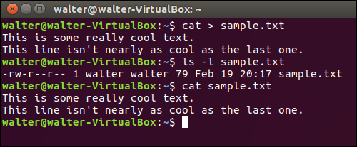 Просмотр содержимого файла через cat