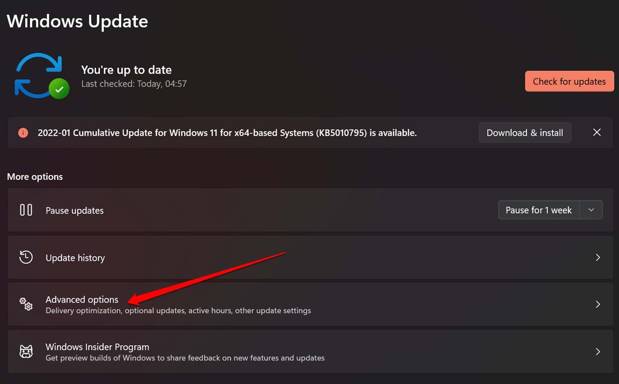 Дополнительные параметры Windows Update