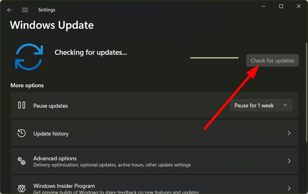 Кнопка проверки обновлений