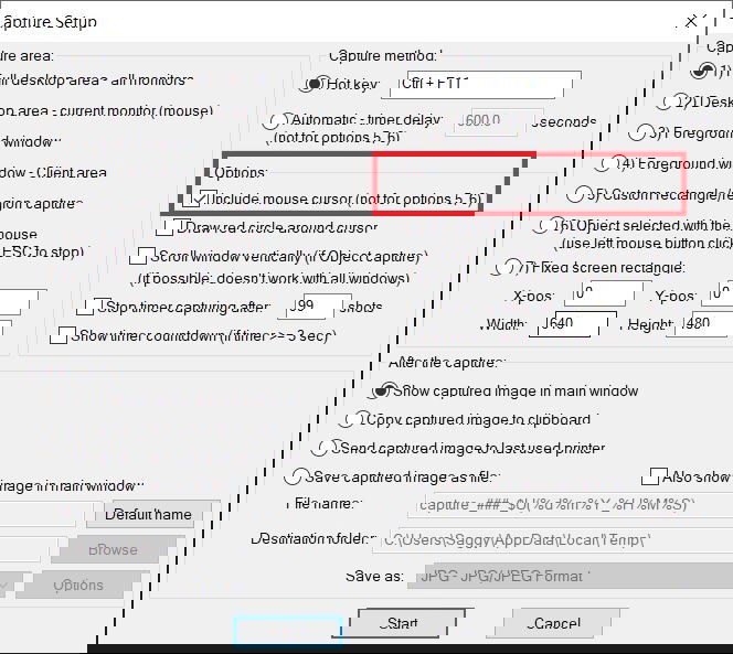 Включить курсор в захвате IrfanView