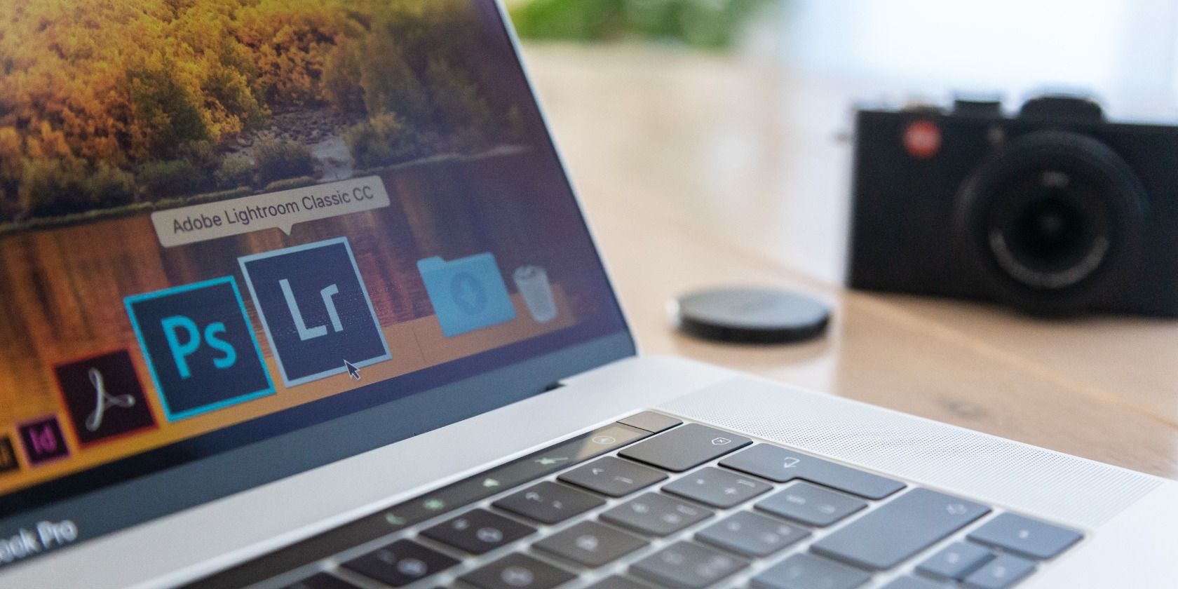 Transform в Lightroom: полное руководство