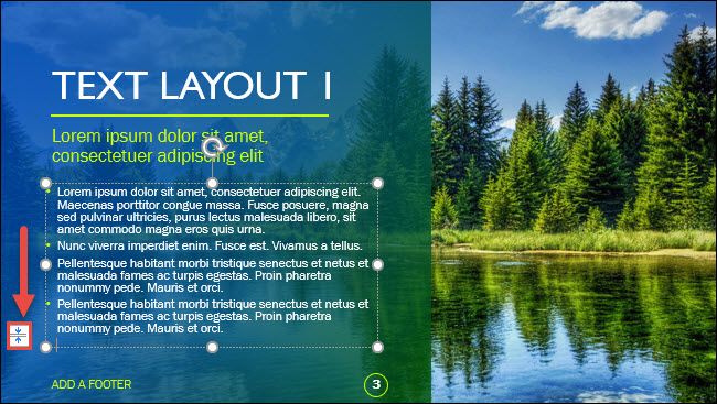 Диалог AutoFit Options, показывающий варианты автоподбора