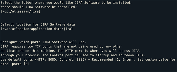Пример выбора вариантов установки Jira на экране