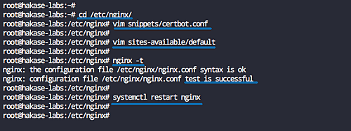 Настройка Nginx