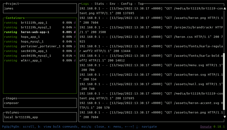 Скриншот интерфейса Lazydocker