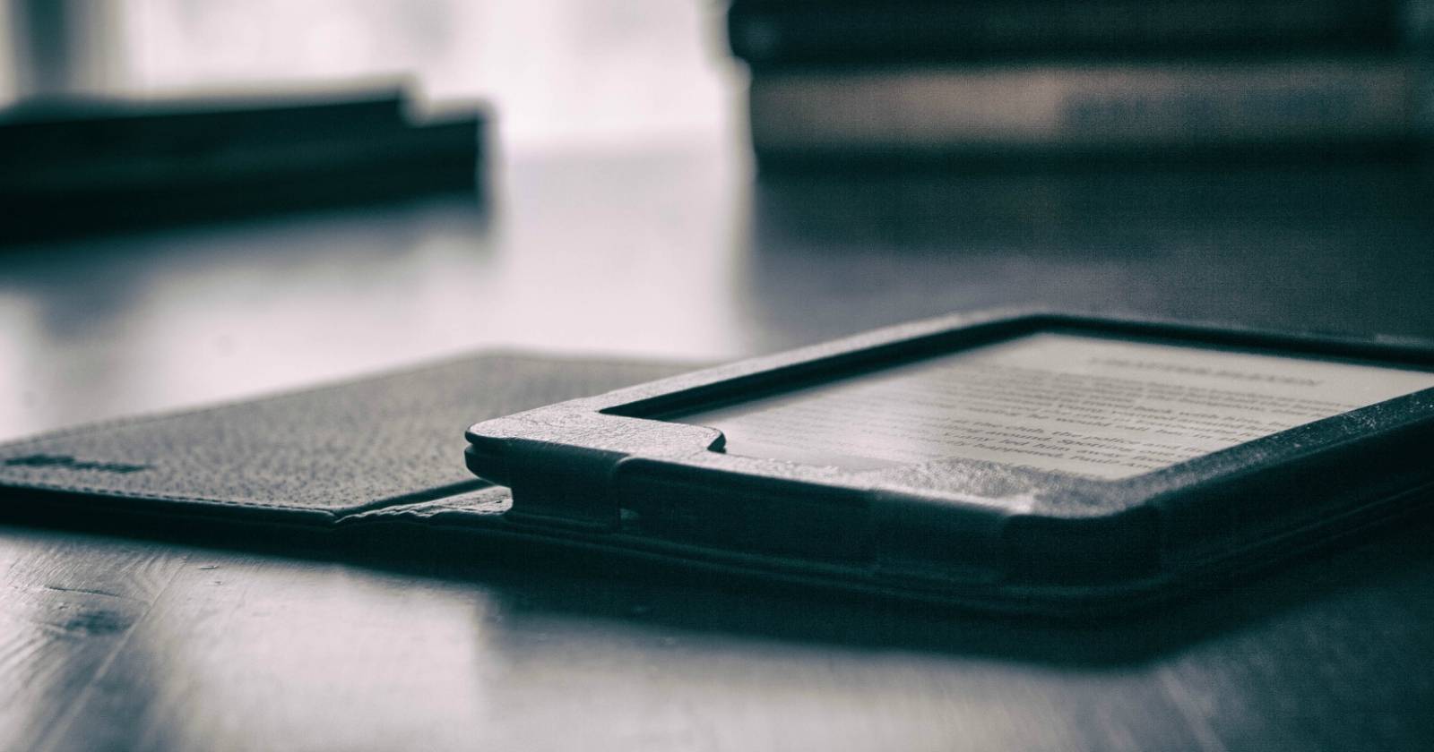 Человек читает на Kindle — близкий план экрана с выделенным отрывком