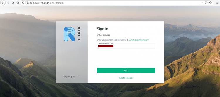 Ввод домена для Riot