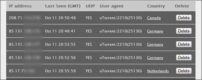 Скриншот списка IP-адресов, подключенных к тестовому торренту