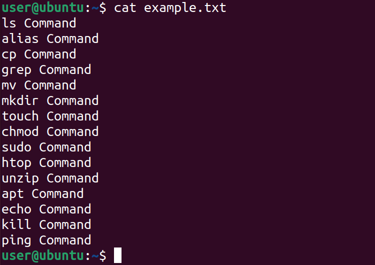 содержимое example.txt, отображённое командой cat