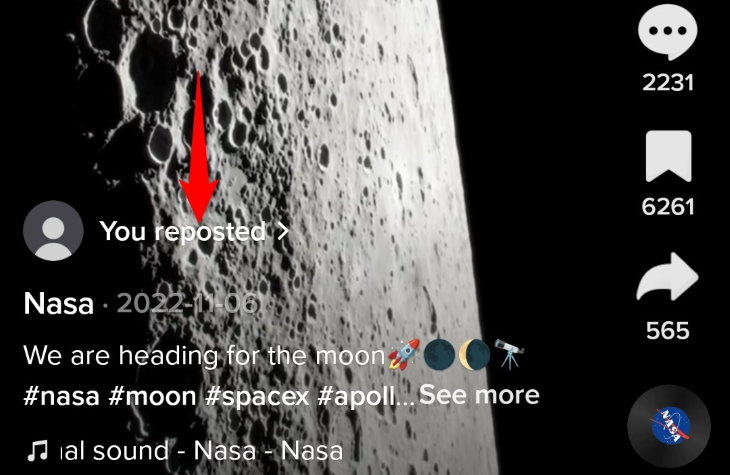 Видео сохранено в закладки.