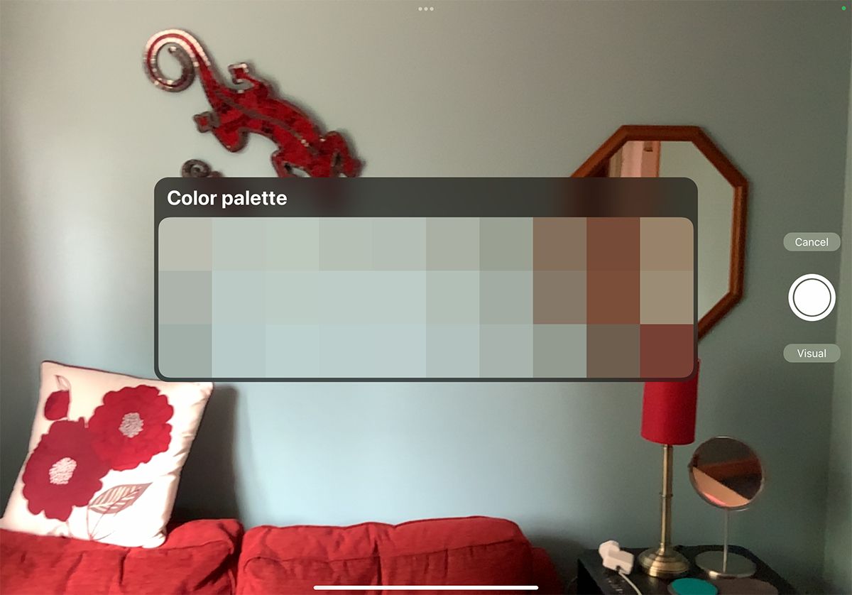 Камера с сеткой палитры в центре кадра, кнопка спуска справа.