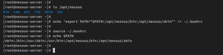 Пути Nessus добавлены в PATH
