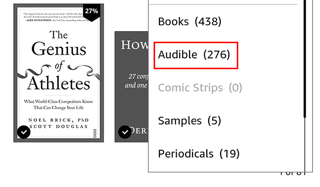 Фильтр Audible выделен