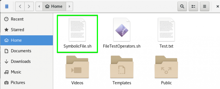 Файл SymbolicFile.sh в домашней директории