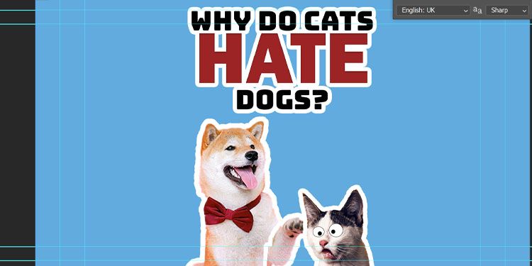 Кошка с 'оглазами' для эффекта после удара