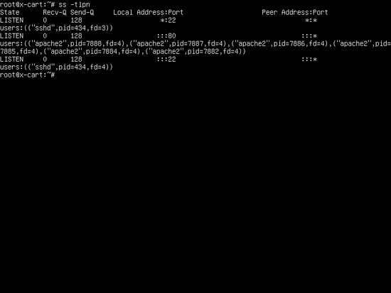 Вывод ss для проверки процессов и портов