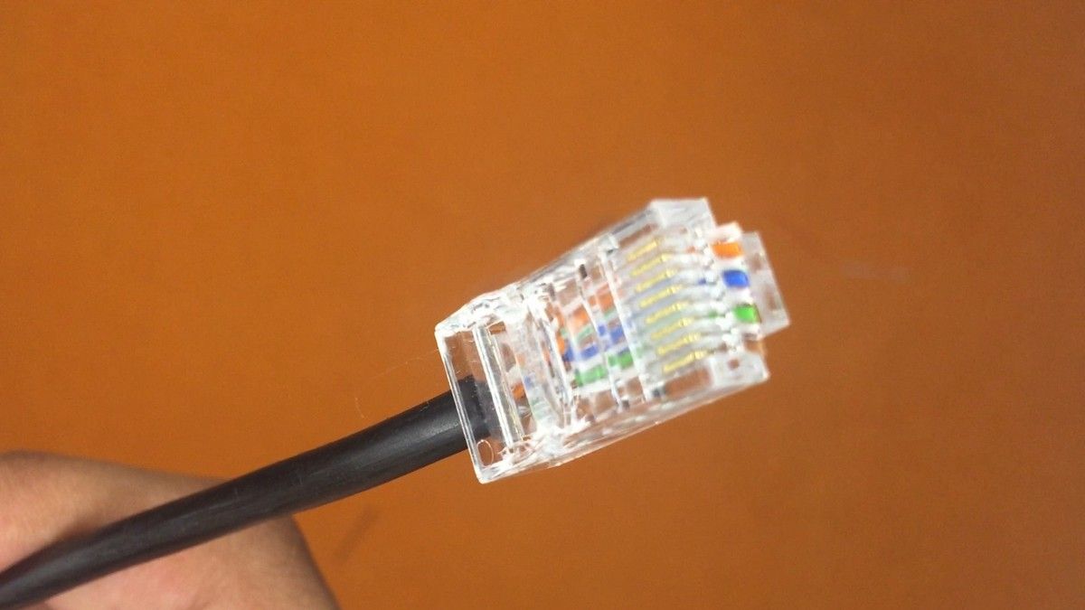 Ttrimmed wires of a pass through connector