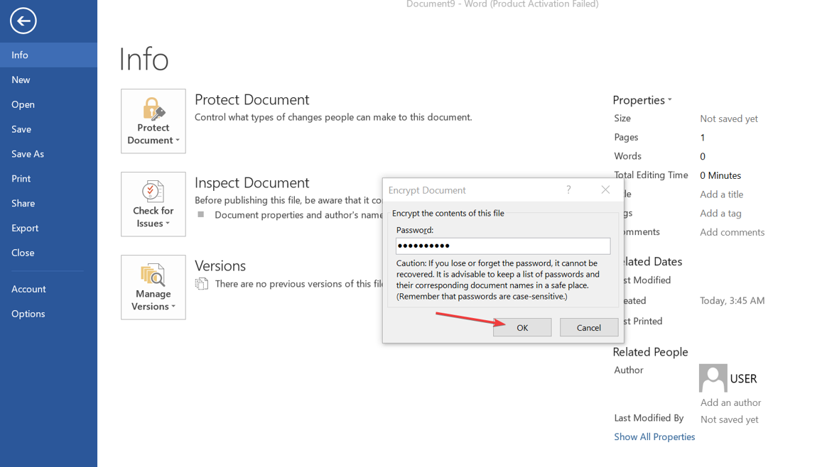 Скриншот: ввод пароля для шифрования документа в Word