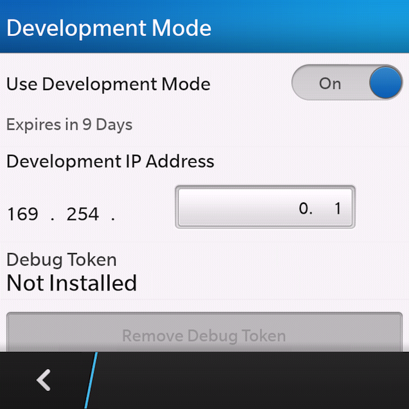 Экран включения режима разработчика в BlackBerry 10