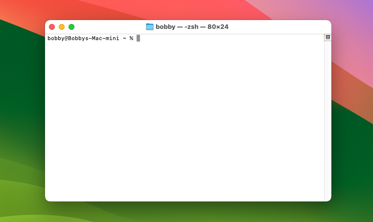 Окно терминала на macOS с приглашением в домашнем каталоге.