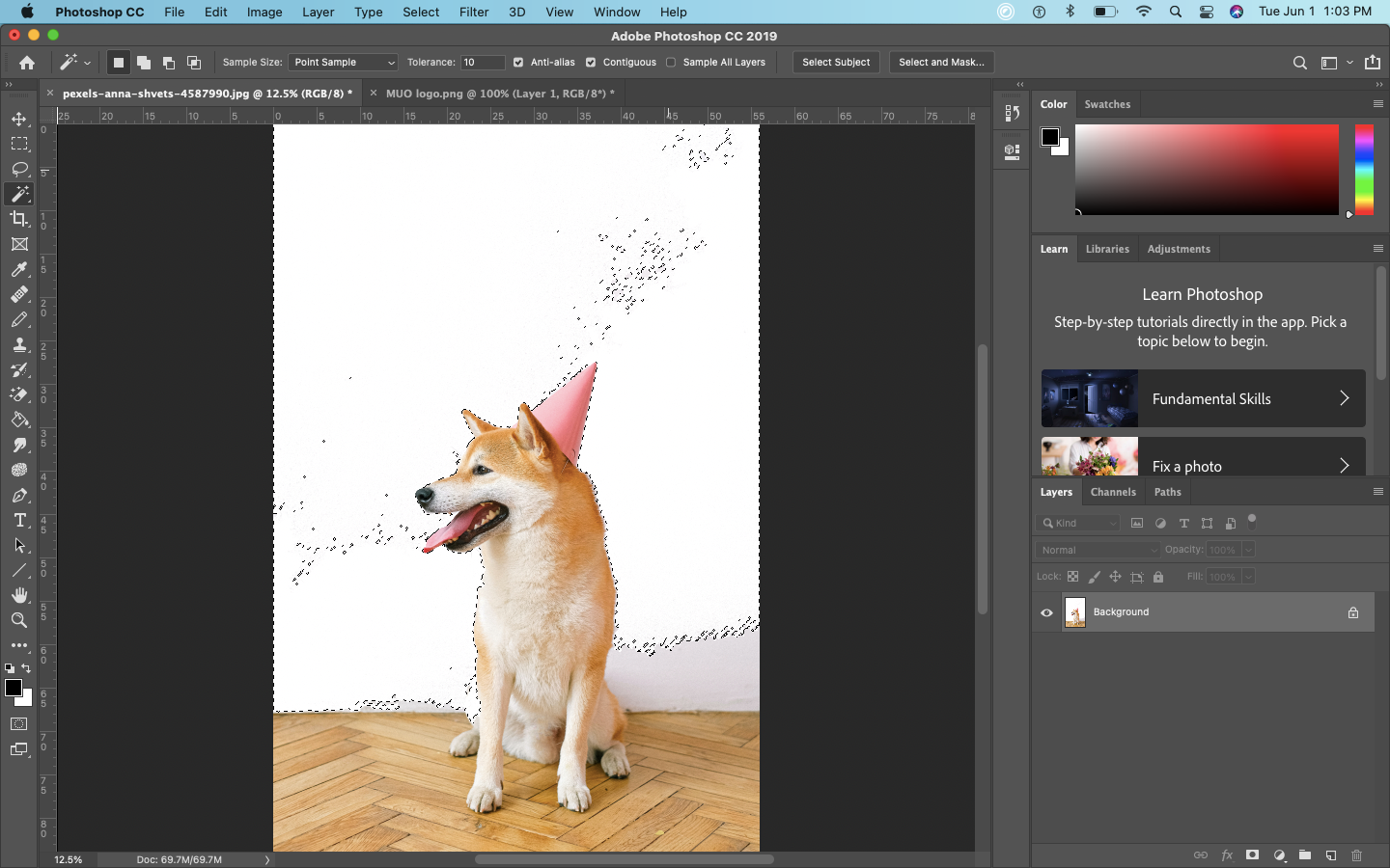 Интерфейс удаления фона в Photoshop с инструментом Волшебная палочка