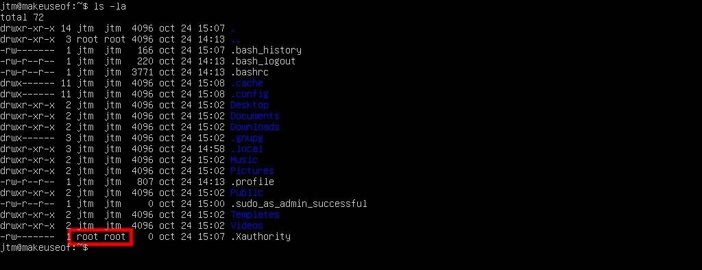 Содержимое домашней директории в TTY Ubuntu