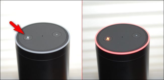Нажатие кнопки отключения микрофона на Amazon Echo, крупный план