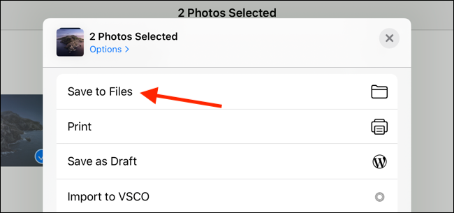 Tap on Save to Files from Share Sheet