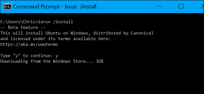 Процесс установки Ubuntu в WSL