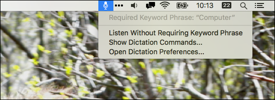 Значок в строке меню: команды диктовки доступны здесь