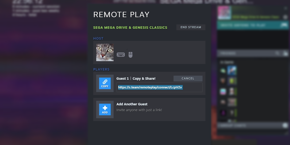 Приглашение через Remote Play Invite Anyone