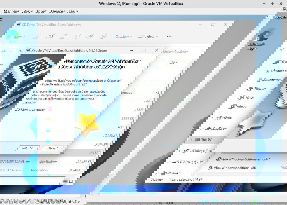 Окно установки Guest Additions, экран выбора параметров.