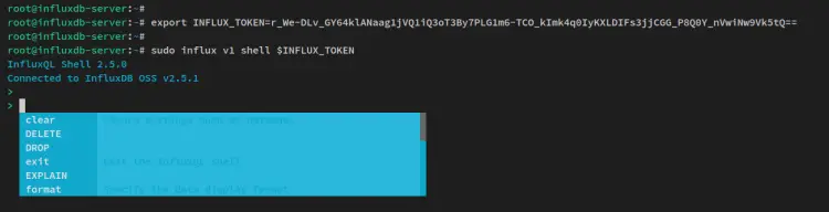 Подключение к influx shell