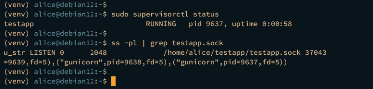 проверка supervisor apps