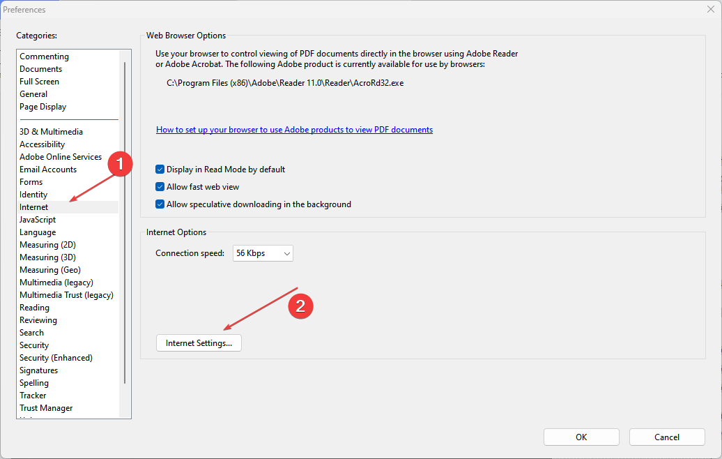 Параметры интернет в Adobe