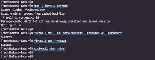 Генерация SSL‑сертификата Let's Encrypt