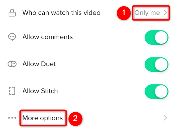 Экран параметров публикации с настройкой «Кто может смотреть это видео»