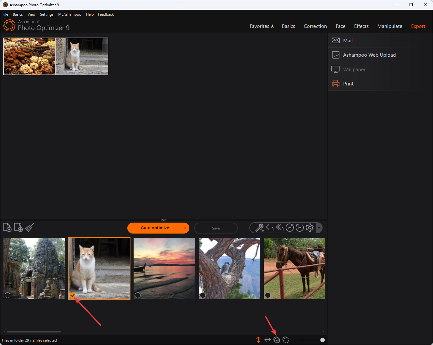Просмотр загруженных фотографий — кнопка «Выделить всё»