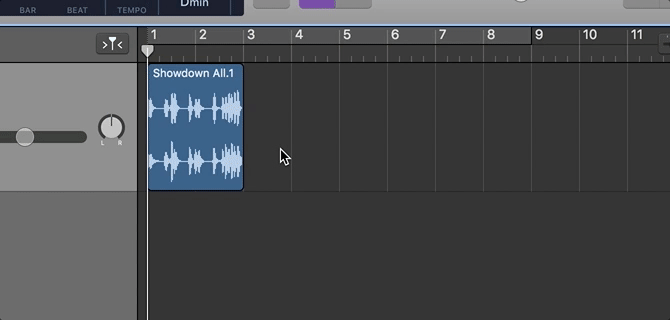 расширение лупа в GarageBand