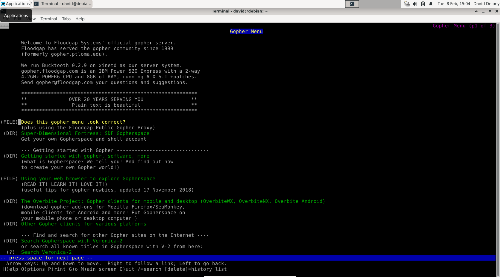 Текстовый браузер Lynx показывает страницу Gopher в терминале Debian