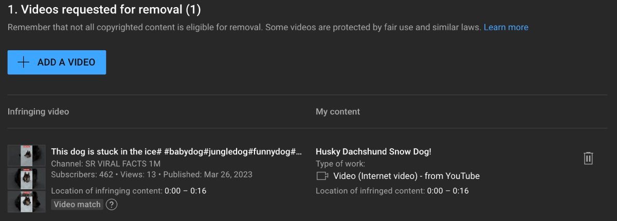 Информация о видео при оформлении запроса на удаление