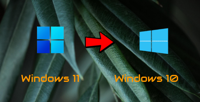 Откат с Windows 11 на Windows 10 — руководство