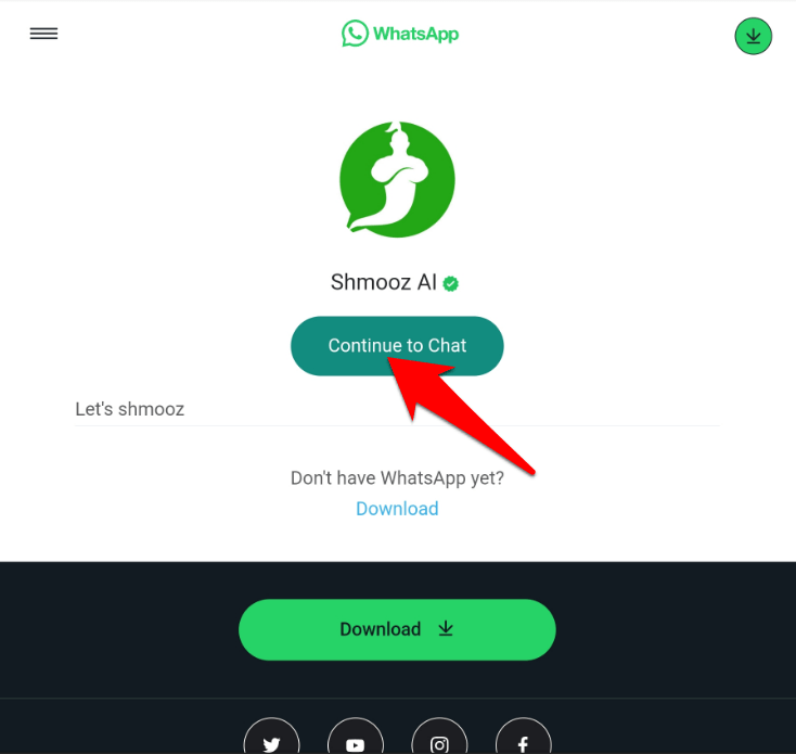 Нажмите Continue Chat в всплывающем окне.