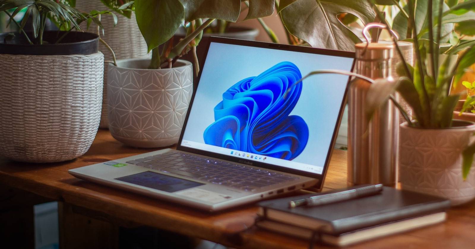 Поиск на панели задач Windows 11 — настройки и советы