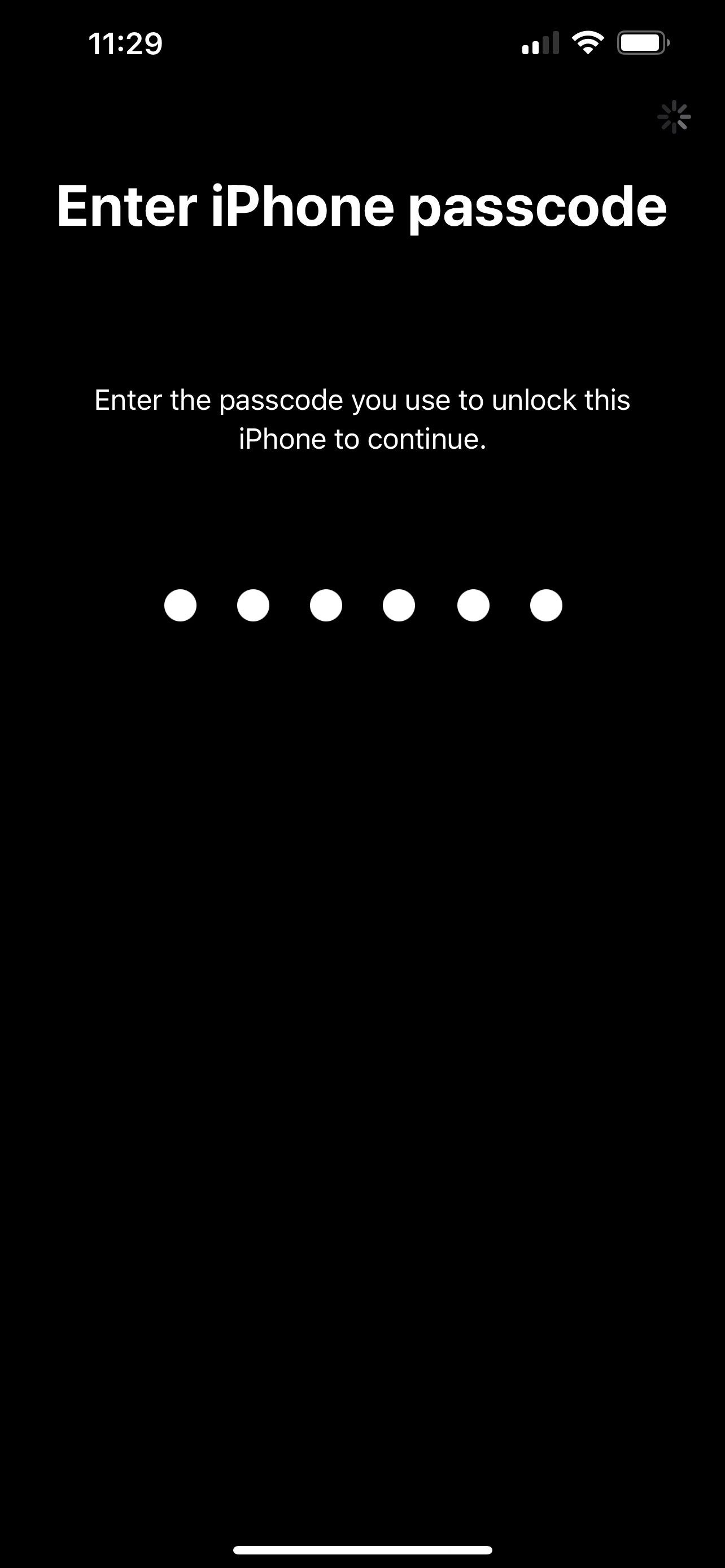 Ввод кода-пароля устройства iOS