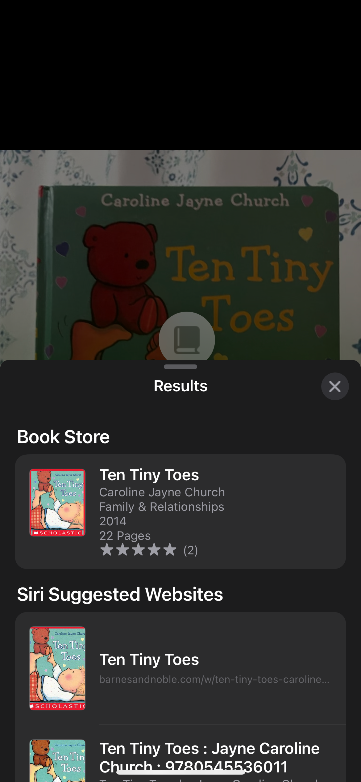 Результат Visual Look Up в Сообщениях