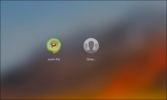 Окно входа с опцией «Другое…» для ввода имени пользователя