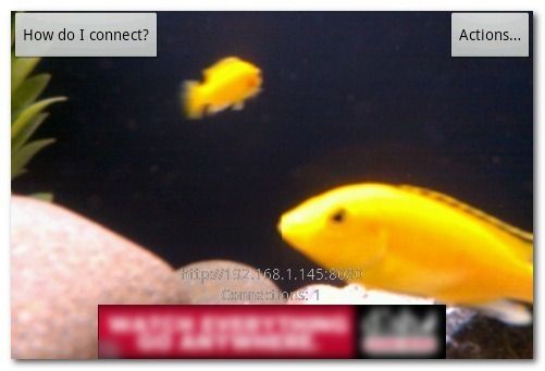 IP Webcam: статус сервера и адрес локальной трансляции