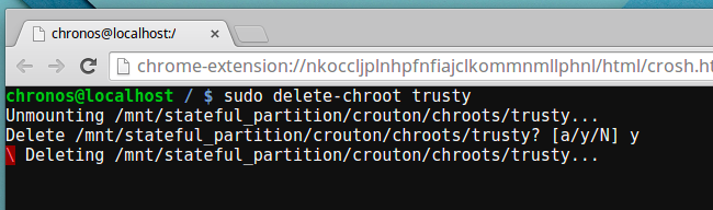 Удаление chroot через команду delete-chroot